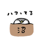 毎日ぺんぎん（個別スタンプ：16）