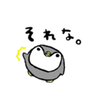 毎日ぺんぎん（個別スタンプ：30）