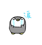 毎日ぺんぎん（個別スタンプ：38）
