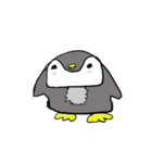 毎日ぺんぎん（個別スタンプ：39）