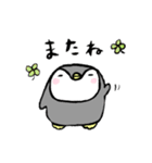 毎日ぺんぎん（個別スタンプ：40）