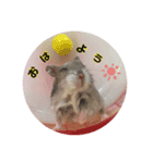 ちびちゃん(男の子)（個別スタンプ：3）