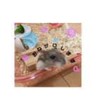ちびちゃん(男の子)（個別スタンプ：4）