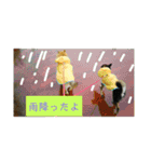 シバココ日和2（個別スタンプ：24）