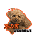 ロイちゃんの日常（個別スタンプ：2）