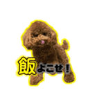 ロイちゃんの日常（個別スタンプ：4）