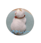 にゃんころ仲間（個別スタンプ：13）