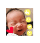 槙紘くんスタンプ（個別スタンプ：4）