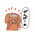 白目アニマル1（個別スタンプ：28）