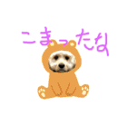 アメコカのコッちゃん（個別スタンプ：15）