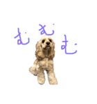 アメコカのコッちゃん（個別スタンプ：18）
