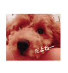 ルークの成長（個別スタンプ：5）