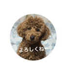 ルークの成長（個別スタンプ：7）