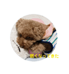 愛犬猫シリーズ1（個別スタンプ：1）