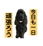 ゴリくん！（個別スタンプ：1）
