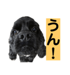 ゴリくん！（個別スタンプ：2）