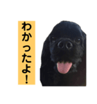 ゴリくん！（個別スタンプ：3）