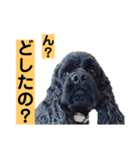 ゴリくん！（個別スタンプ：4）