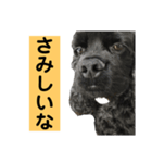 ゴリくん！（個別スタンプ：5）