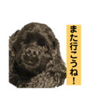 ゴリくん！（個別スタンプ：7）