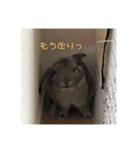 ロップイヤーほこりの日常（個別スタンプ：8）