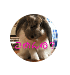 うさぎのちくわの日常（個別スタンプ：7）