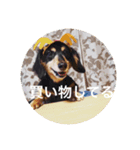 虎太郎 kotarou（個別スタンプ：4）