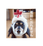 虎太郎 kotarou（個別スタンプ：10）
