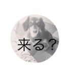 虎太郎 kotarou（個別スタンプ：11）