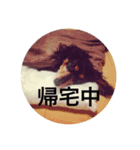 虎太郎 kotarou（個別スタンプ：14）