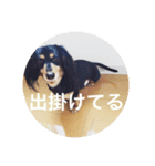 虎太郎 kotarou（個別スタンプ：15）