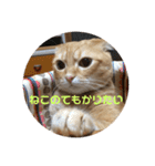 いつもの豆（個別スタンプ：16）