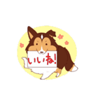 アホの子シェルティーぽんぬ（個別スタンプ：11）