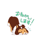 アホの子シェルティーぽんぬ（個別スタンプ：16）