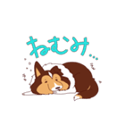 アホの子シェルティーぽんぬ（個別スタンプ：36）