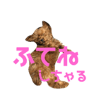 キャバ嬢わんこ♡めいちゃろ（個別スタンプ：3）