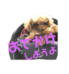 キャバ嬢わんこ♡めいちゃろ（個別スタンプ：7）