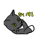 にゃーの想いと言葉（個別スタンプ：1）