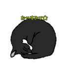 にゃーの想いと言葉（個別スタンプ：2）