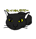 にゃーの想いと言葉（個別スタンプ：3）