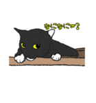 にゃーの想いと言葉（個別スタンプ：4）