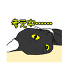 にゃーの想いと言葉（個別スタンプ：5）