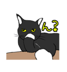 にゃーの想いと言葉（個別スタンプ：6）