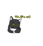 にゃーの想いと言葉（個別スタンプ：7）