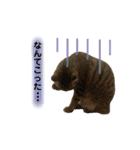 ねこちゃん3姉妹（個別スタンプ：26）