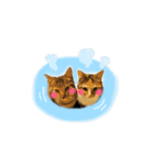 ねこちゃん3姉妹（個別スタンプ：29）