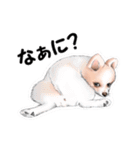 mao baby_（個別スタンプ：8）