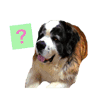 犬のドンちゃんのスタンプ2（個別スタンプ：2）