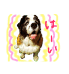 犬のドンちゃんのスタンプ2（個別スタンプ：10）