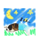犬のドンちゃんのスタンプ2（個別スタンプ：11）